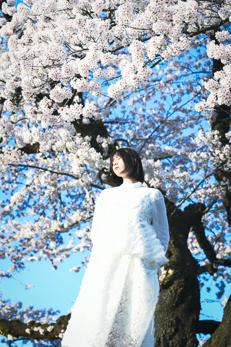 つきかわ Tsukikawa tweet media