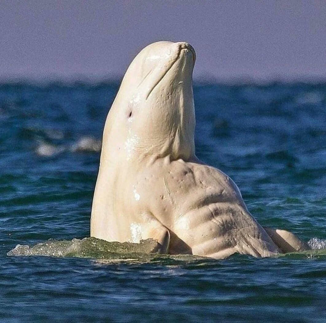 Nature is Amazing ☘️ tweet media