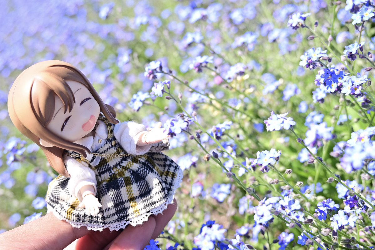 かろん♇ tweet media
