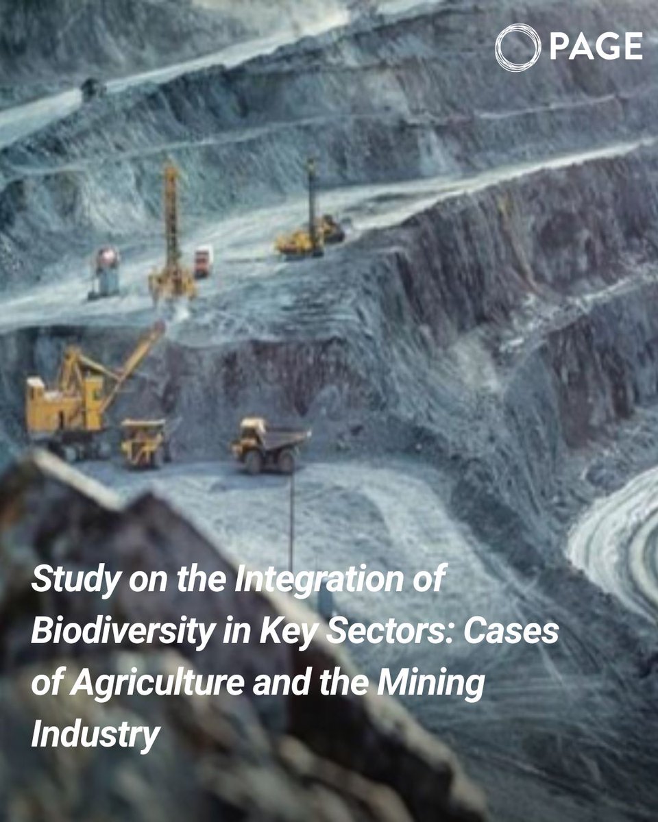 _un_page's tweet image. What do farming &amp;amp; mining have in common? More than you think 🌱⛏️
📚 A study supported by #PAGE explores how two of #Morocco's most important sectors can better protect #Biodiversity, while supporting jobs &amp;amp; #EconomicGrowth. Read the UNIDO and MED study: f.mtr.cool/npuidyctzl