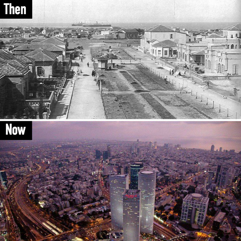 Eli Afriat 🇮🇱 tweet media