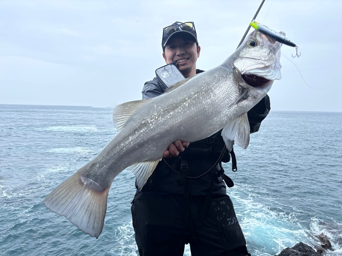 九州河川左岸の岡本 tweet media
