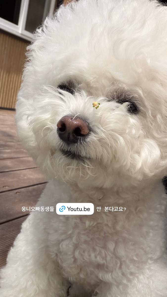 SinBwithU Taiwan tweet media