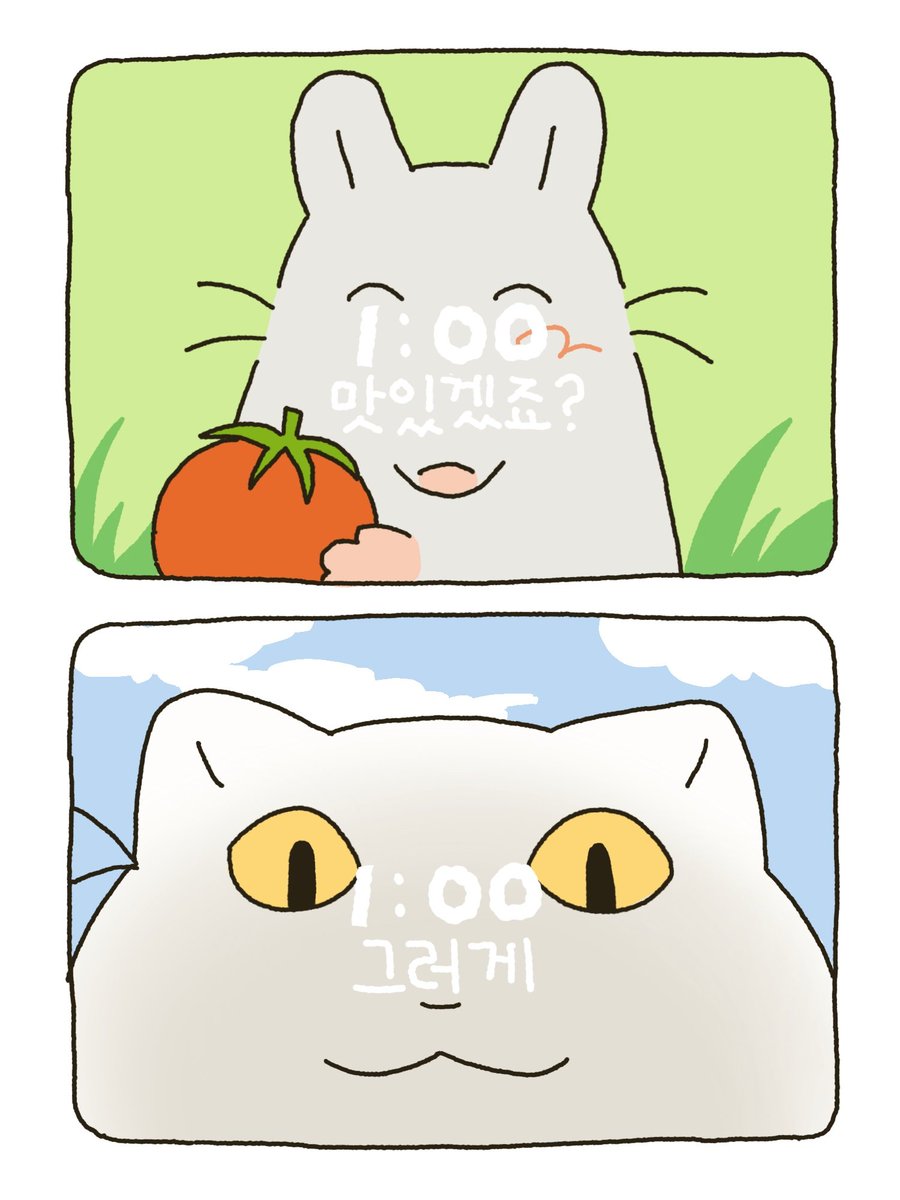 설치류를설치하기 tweet media