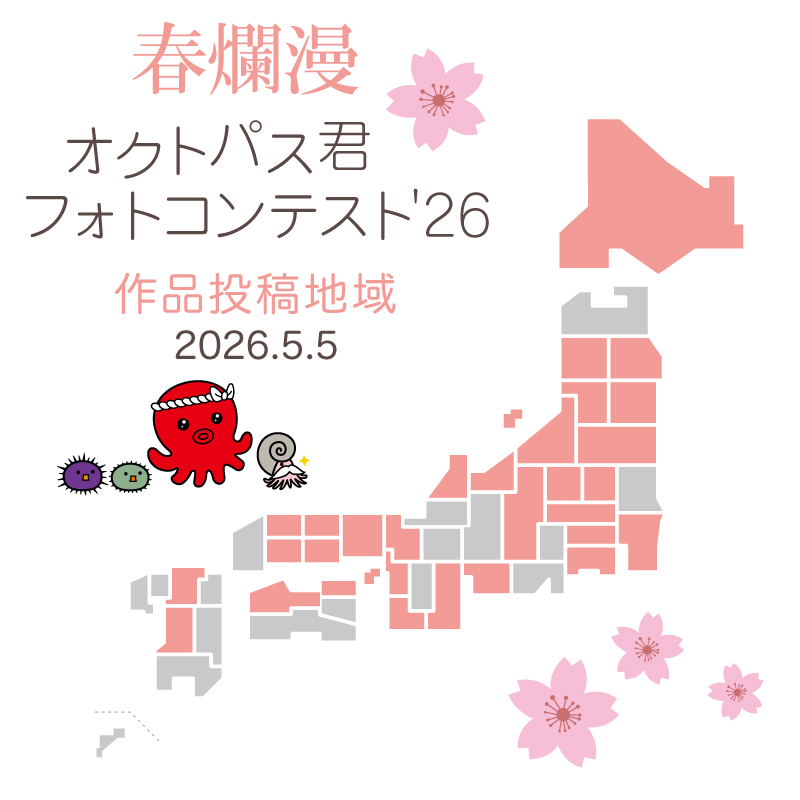 オクトパス君 tweet media