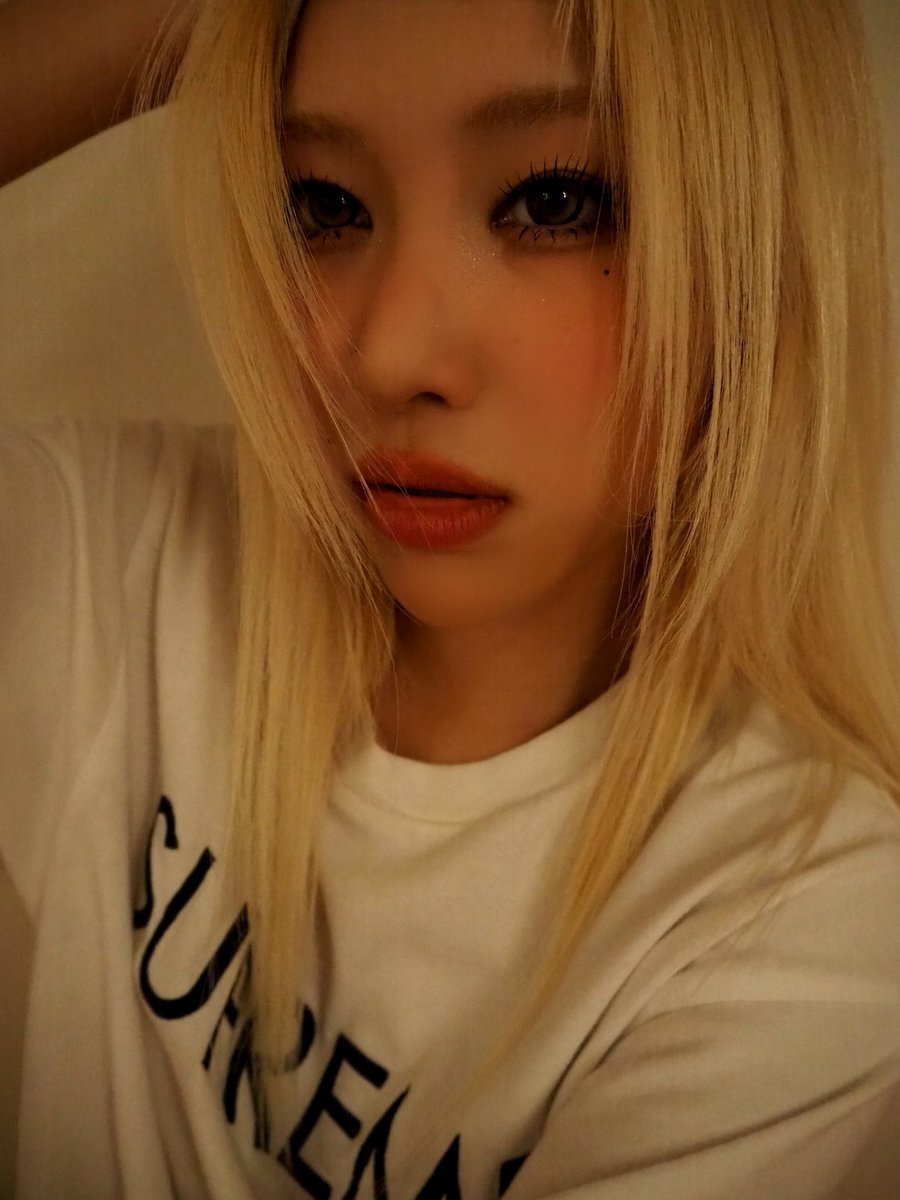 ロドクリス (Lodcris) tweet media