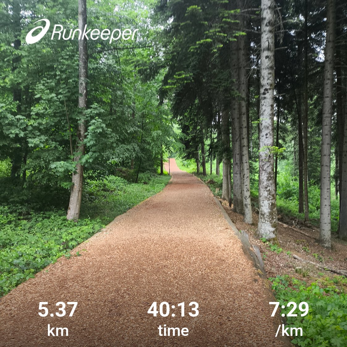zureich37's tweet image. Tuesday morning run 🌳🏃‍➡️🌲.
... light rain, 14° Celsius, breathing the clean forest air, enjoying nature🙏
#running #runchat #healing #ForestRun #lovenature
