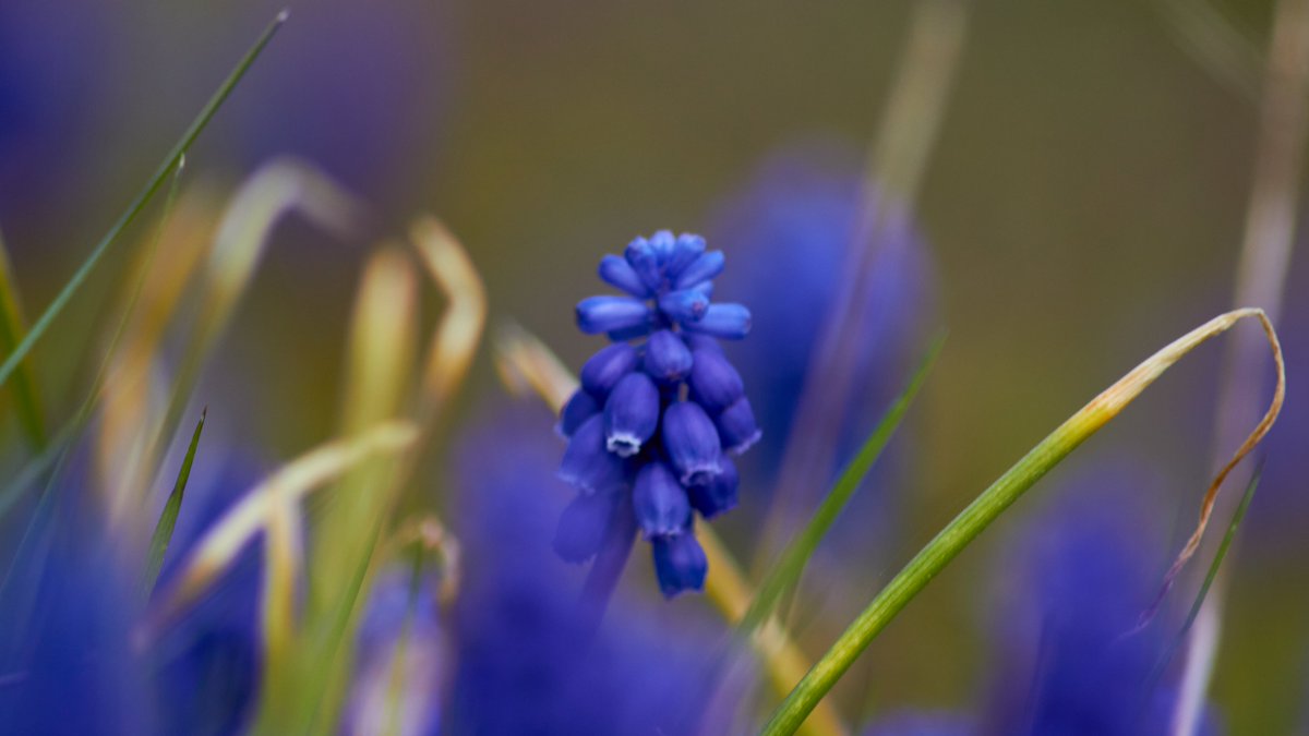 Leffilog's tweet photo. New life is emerging, spring is arriving. https://t.co/VLr4d6qJJf