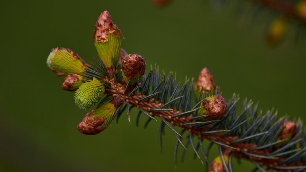 Leffilog's tweet photo. New life is emerging, spring is arriving. https://t.co/VLr4d6qJJf