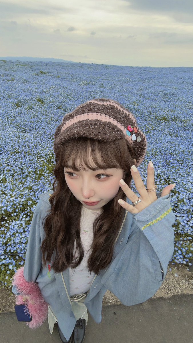 ふう🐱🧶 tweet media