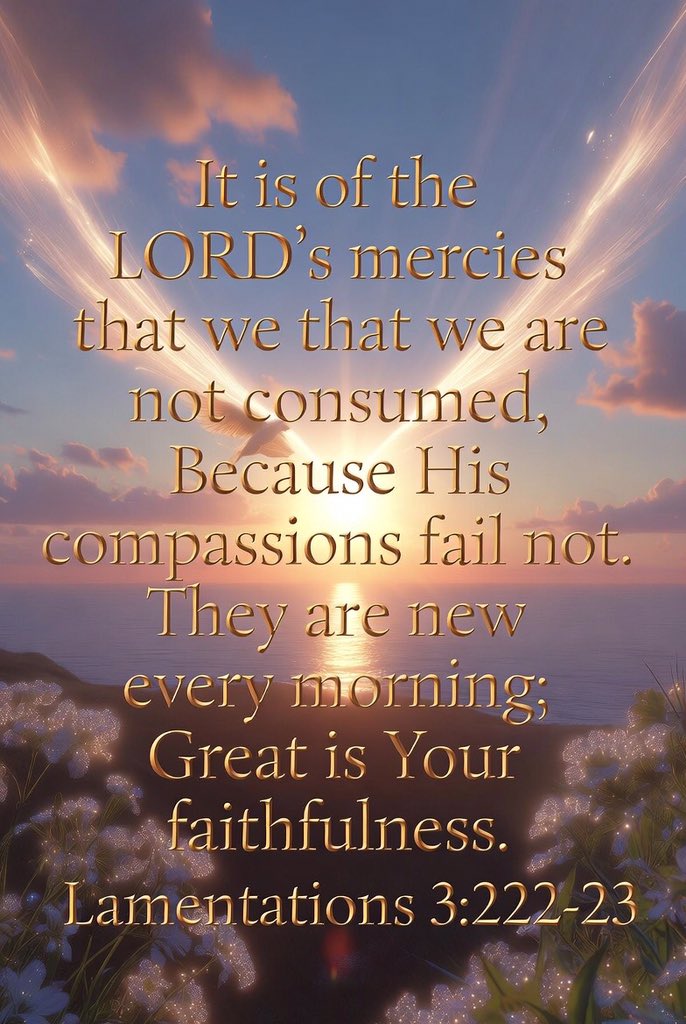 CELEDIGNITY's tweet photo. As you go out today
You shall be Victorious 
May the Mercy of God locate you

#Tuesday #prayer #amen #celestialDignity #fypviralシ https://t.co/k9GmuxkJsK