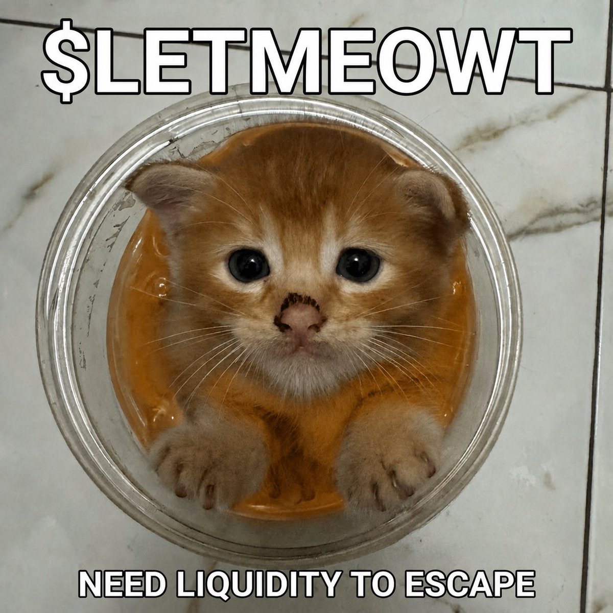 letmeowt_'s tweet photo. This smol orange cat got greedy for the last drop of a creamy milky drink, squeezed his way into a plastic cup, and got completely stuck. Now, with tiny paws pressed against the plastic, he's begging "LETMEOWT!" https://t.co/6V4z8S2KGM