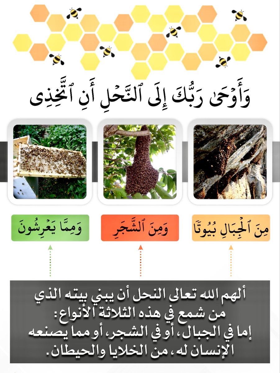أ-آلُِسفُرٍة آلُِڪرٍآم💕📚 tweet media