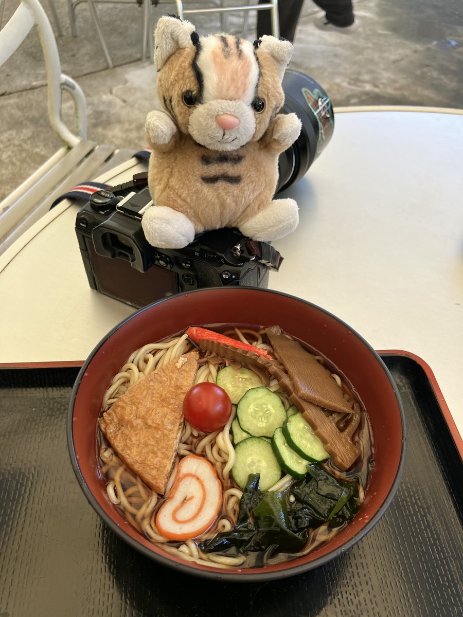 🐱冷やし中華！(を頼んだら出てきたもの)