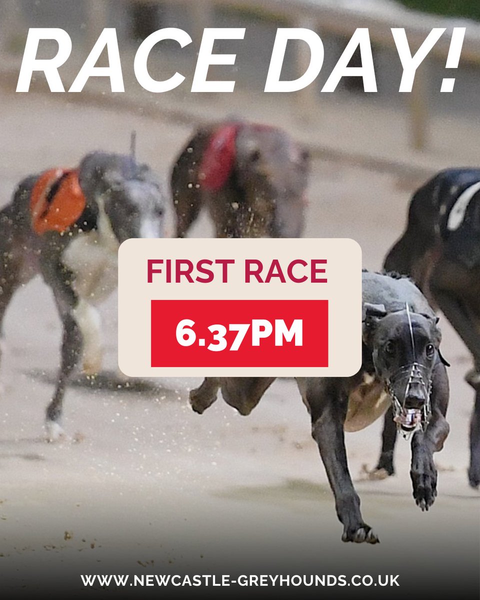 Newcastle Greyhound Stadium tweet media