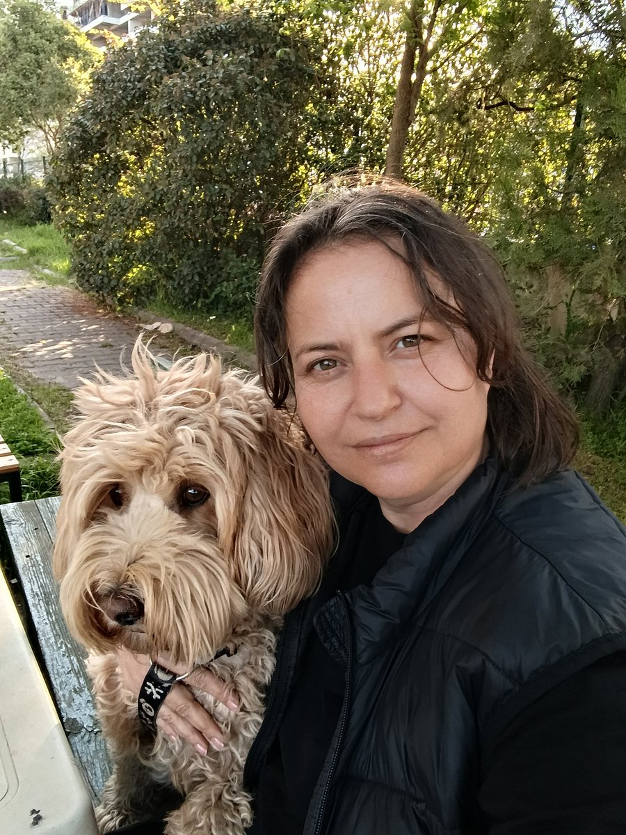 kırmızıiğne🌈⚡🐱🐶 DÖV tweet media