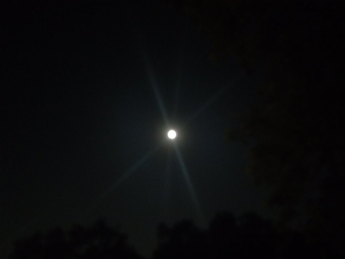 TampaWINNER's tweet image. Good morning Get up Stand up Sleep less. Walk/Run more.

#Tuesday #Tuesdayvibe #HEALTH #wellness #fitness #exercise #Hillsboroughriver #SeminoleHeights #Tampa #Florida #walking #cardio #workout #NaturePhotography #photography #PhotoWalk #Tampaphotography #outdoors #Nature #water