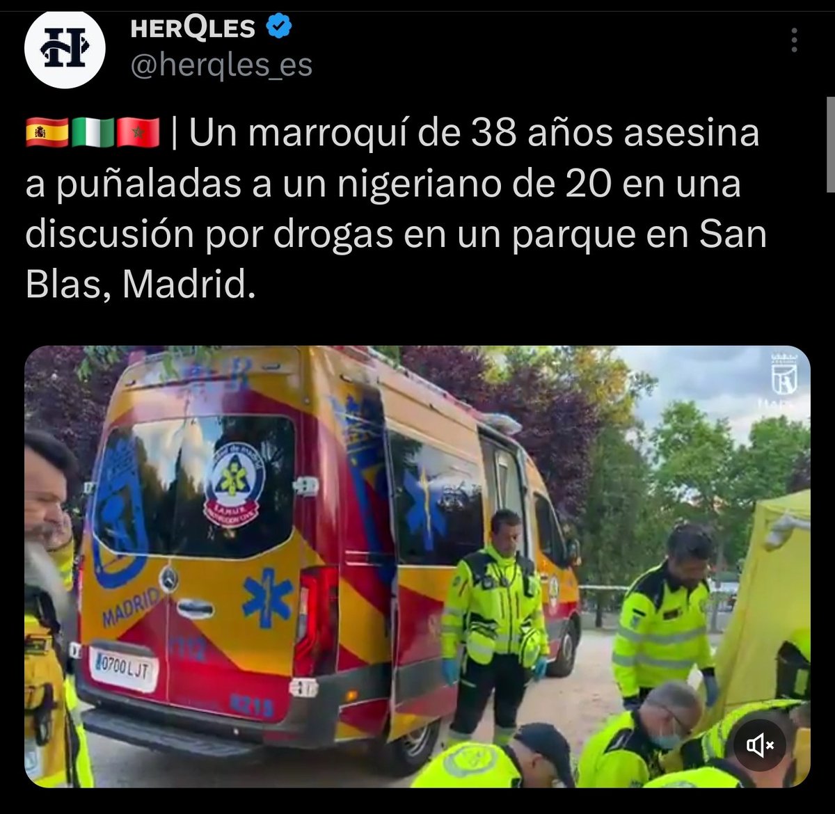 jorquer11 tweet media
