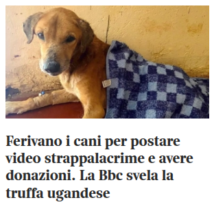 Alex Danzi tweet media