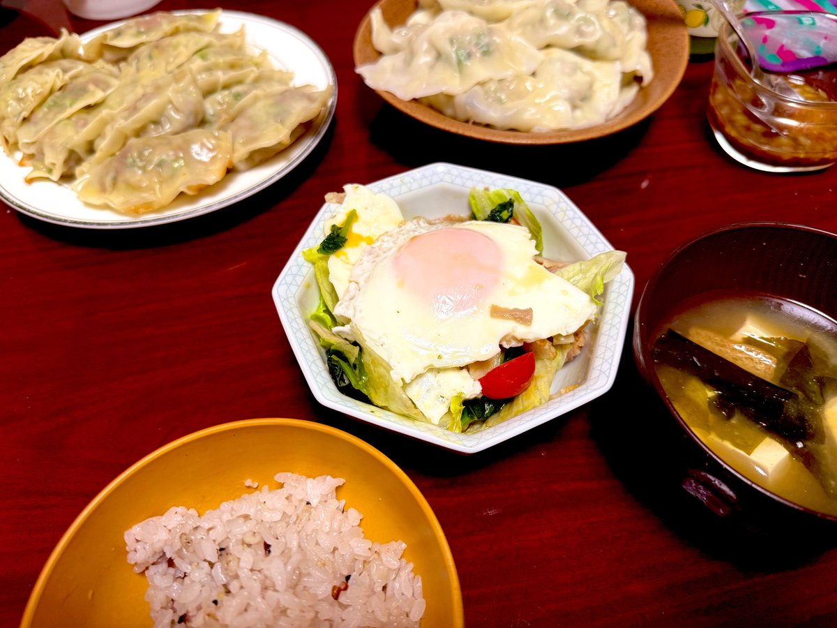 こっこちゃお手製餃子🥟 レモンとパセリの水餃子ほんま好き