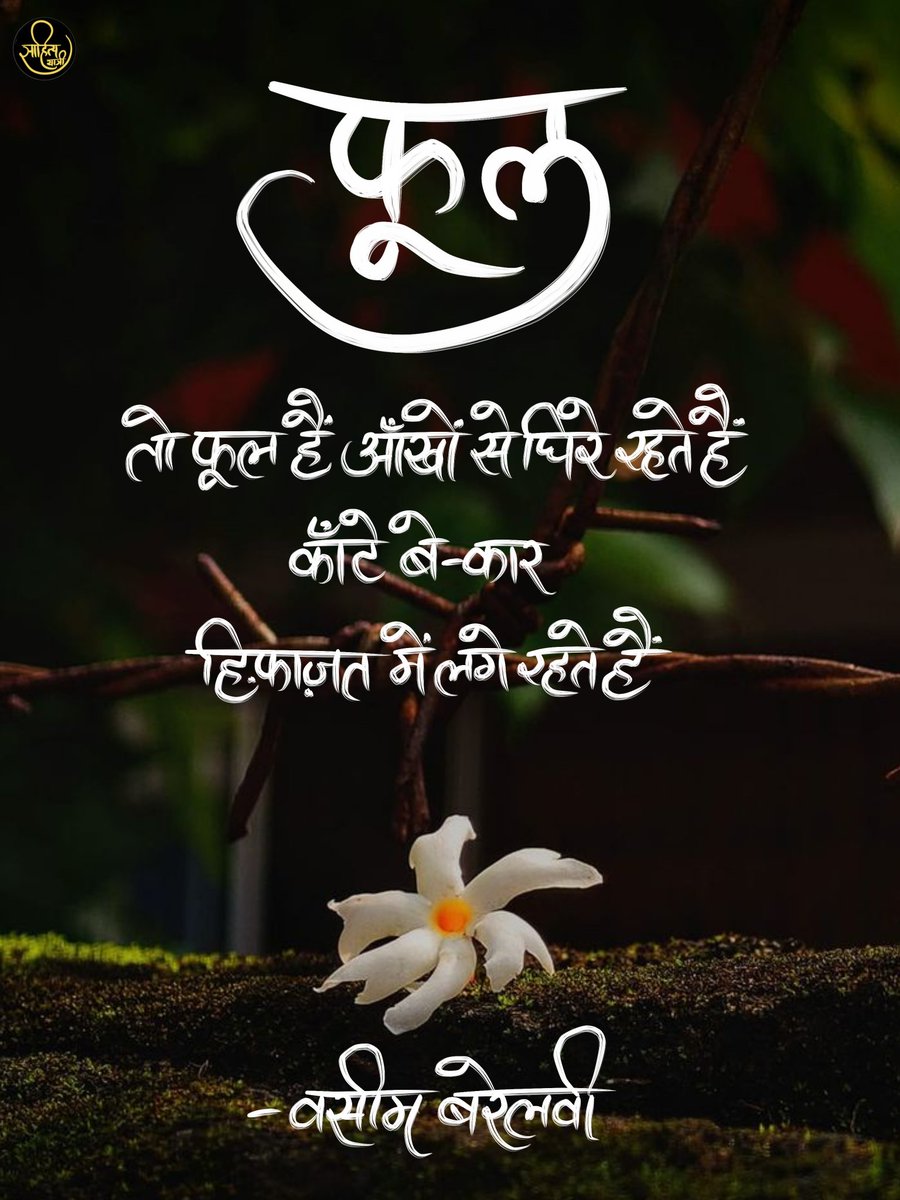 साहित्य यात्री tweet media