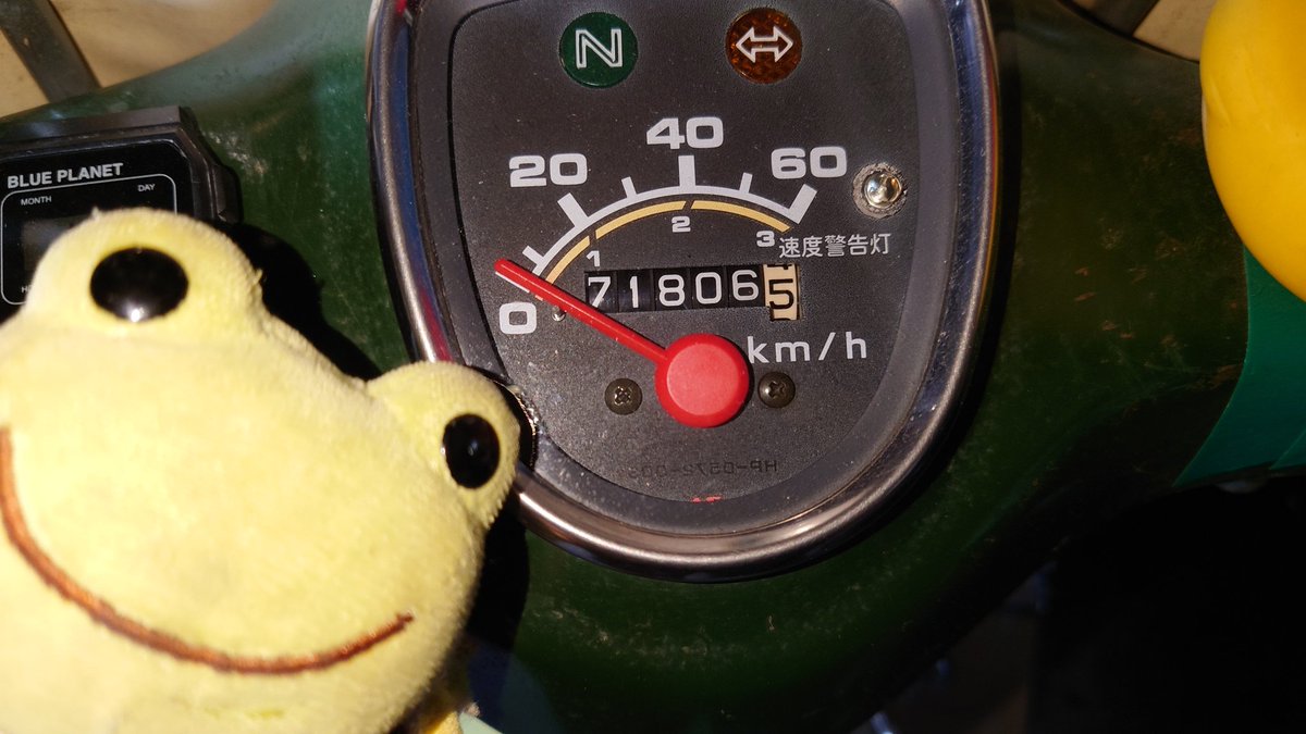 U119740725's tweet photo. 今日も短距離だが緑カブに乗った 明日は久しぶりにモンキー君に乗ろう⤴️ ガソリンは満タン♬ さてどこ行こうかな しかし奥で眠るCD125Tベンリィと883Rはいつ乗るのやら😅 クラッチ付きだから空いている時にしか乗りたくないw #ぬい撮り #かえるのピクルス #スーパーカブ #モンキー #ベンリィ #883R https://t.co/MqaaEuoxpJ