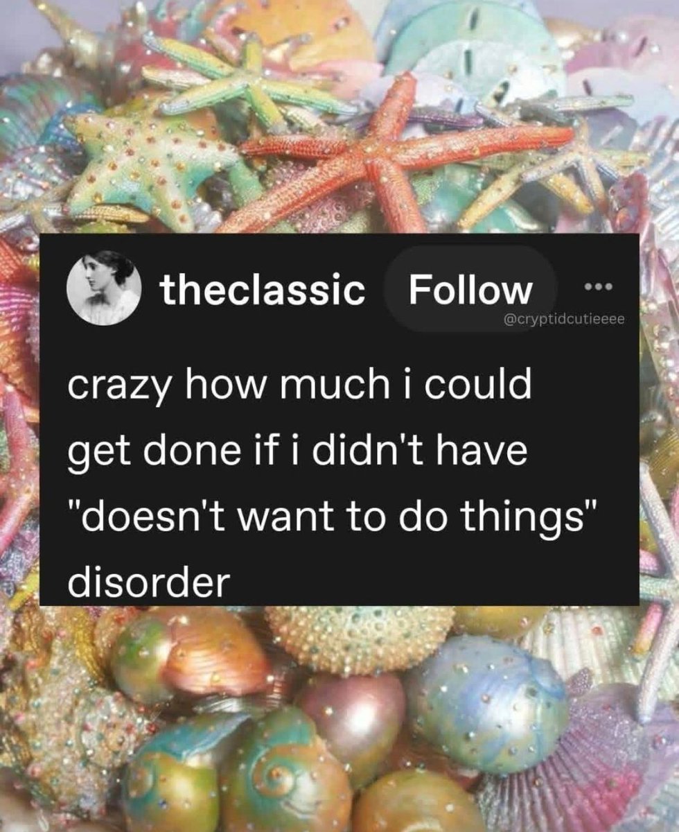 ADHD Memes tweet media