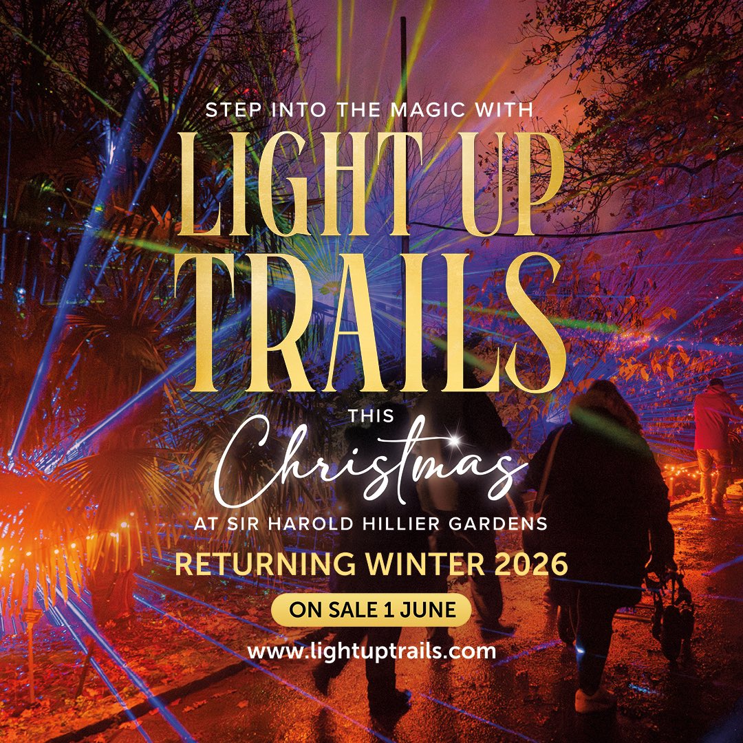 Light Up Trails tweet media