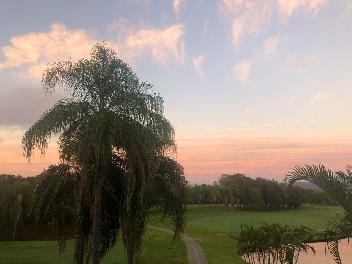 robynconnery1's tweet image. Good evening beautiful souls Enjoy a lovely evening filled with loving kindness and later a great night’s sleep #mindfulness
#meditation #kindness #gratitude #serenity #love #peace
#sunset #sundown #GoldCoast #Australia