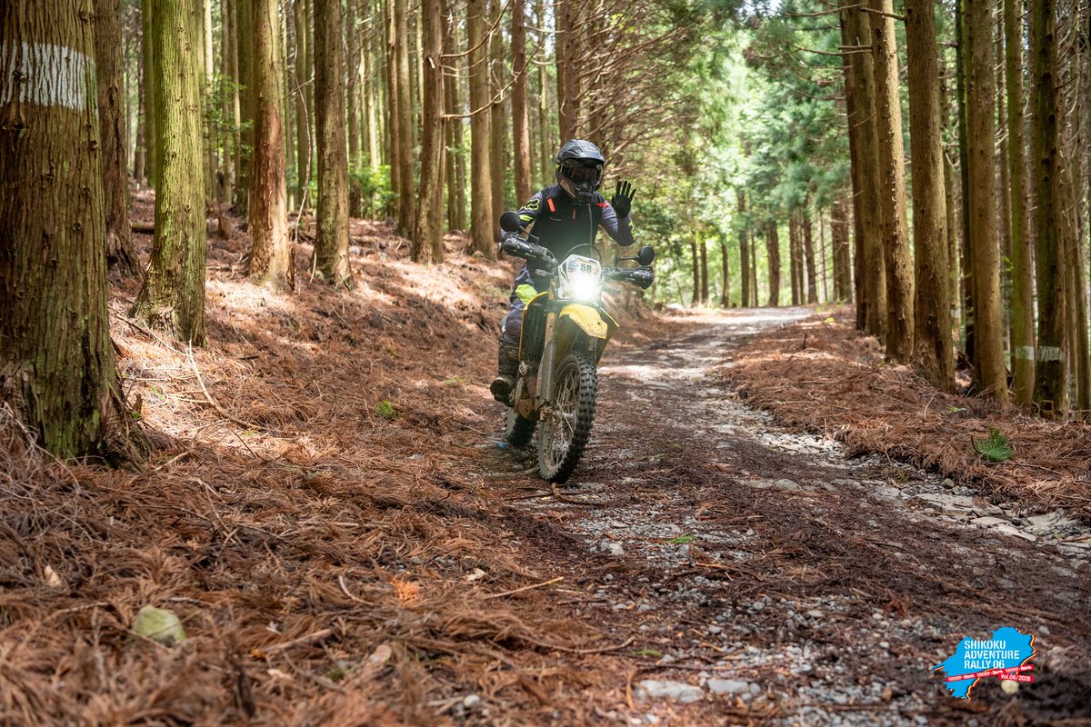 と゛らこ゛ん🟨DRZ4S tweet media