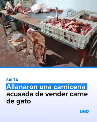 duquelon13895's tweet photo. ¿Ahora resulta que hasta los europeos los envidian por su "legado"? 🤣

El legado argensirio es esto 👇 https://t.co/Bt0AwfgKQY