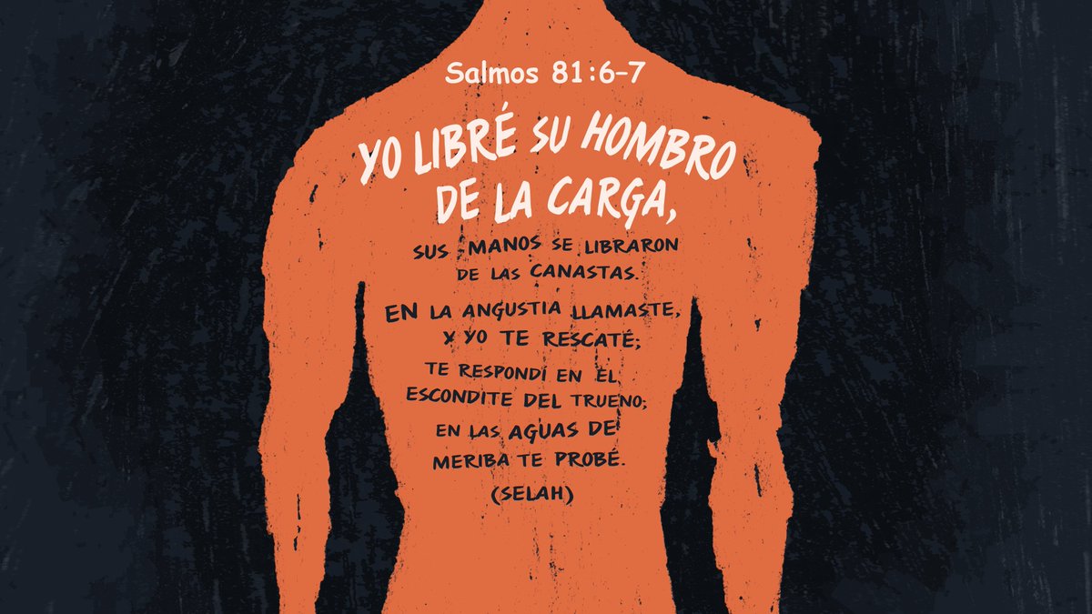 Apostol Alvarez tweet media