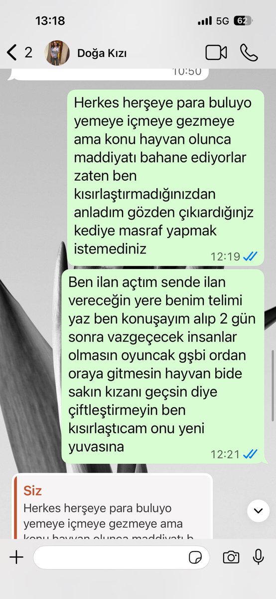 Kulaksızfiphastası tweet media