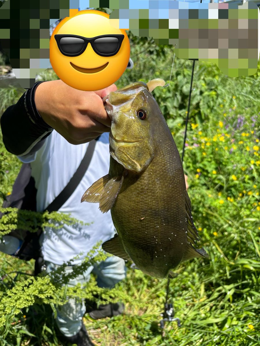 カズマル٩( 'ω' )و🎣 tweet media