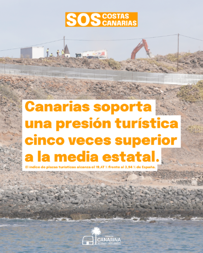 SOS COSTAS CANARIAS. Este jueves 7 presentamos el estudio en la ULL, aquí tienen un adelanto. Abrimos hilo 👇
