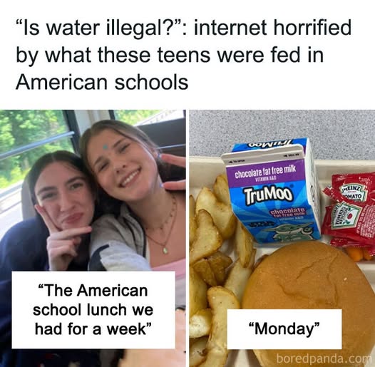 Boredpand's tweet image. Teens Share What American School Lunches Look Like, The Rest Of The World Loses Their Minds
 Full story here 🔗:boredpanda.com/people-horrifi…
#Trending #ViralStories #MustWatch #DailyInspiration #GlobalTrends #Explore #ModernLifestyle #IncredibleWorld
