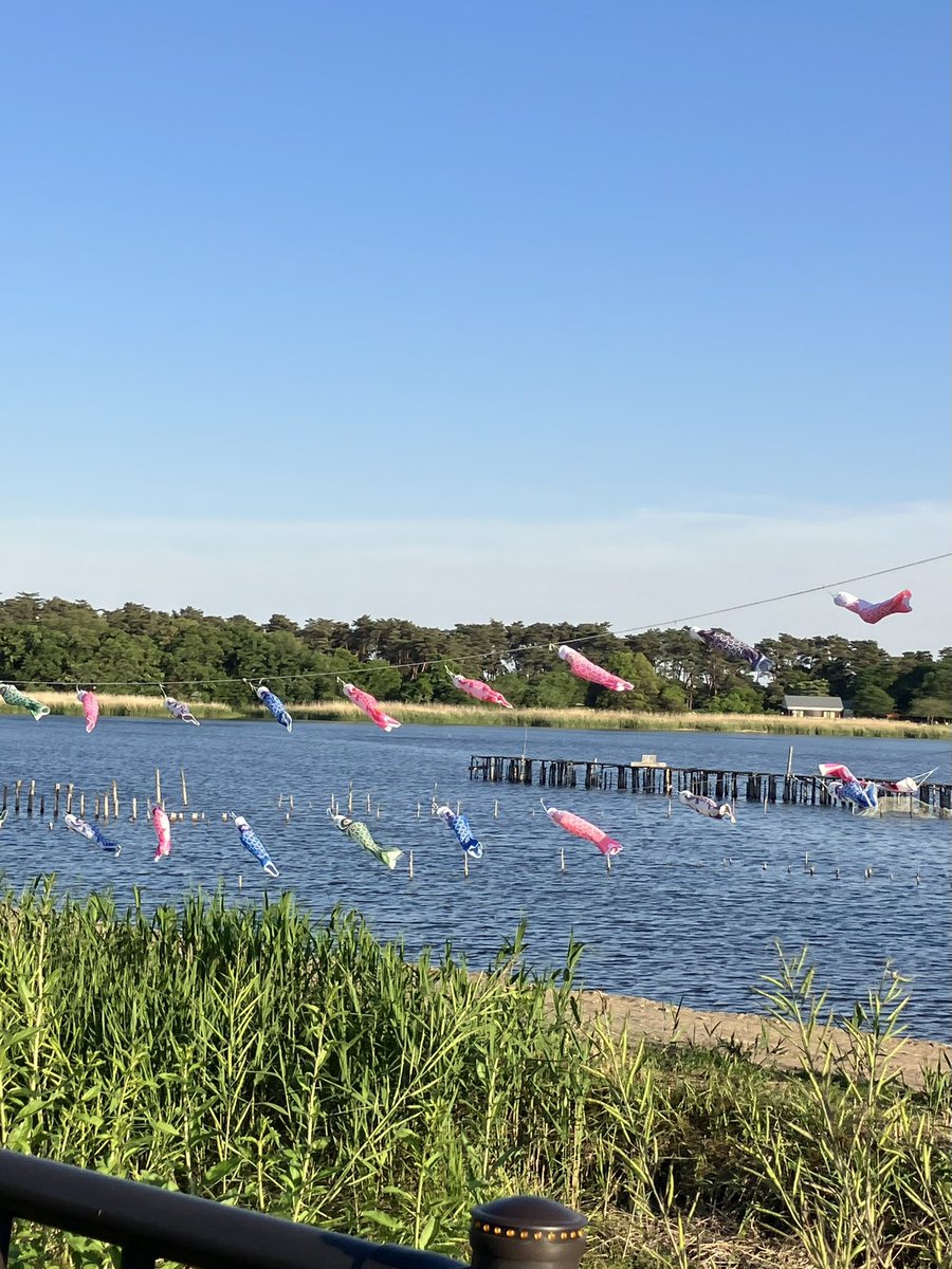 chie_damon's tweet photo. ㊗️散歩　群馬県
1周約5.6kmの沼がある　#多々良沼公園　へ

到着したの夕方で日差しが強かったので1周せず松林の遊歩道を散策
車で移動し（🅿️が沢山あるので便利）
浮島弁財天方面を散歩
2時間ほどで終了
さぁ🏠に着くのは何時になるかしらん🤪 https://t.co/SFmPvXFBGd