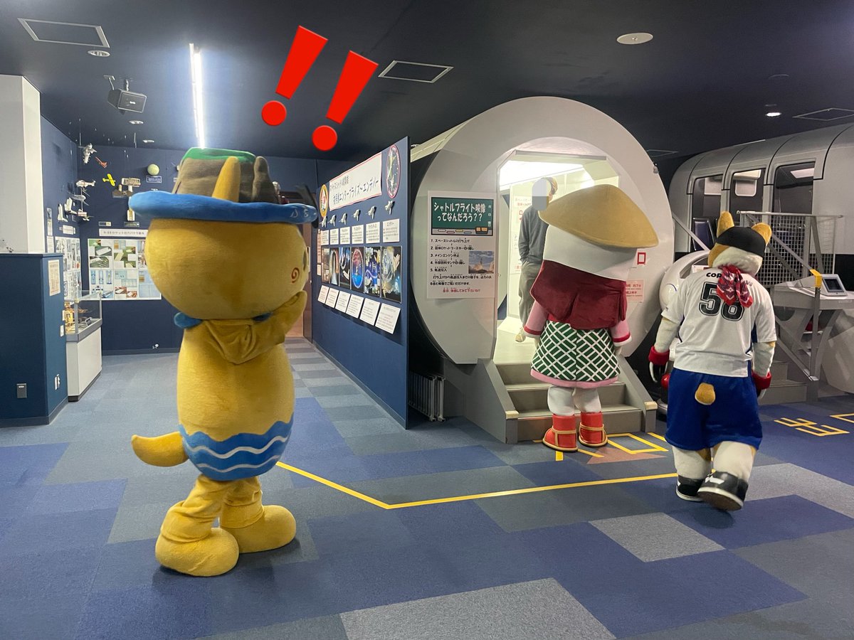 コギ坊 tweet media