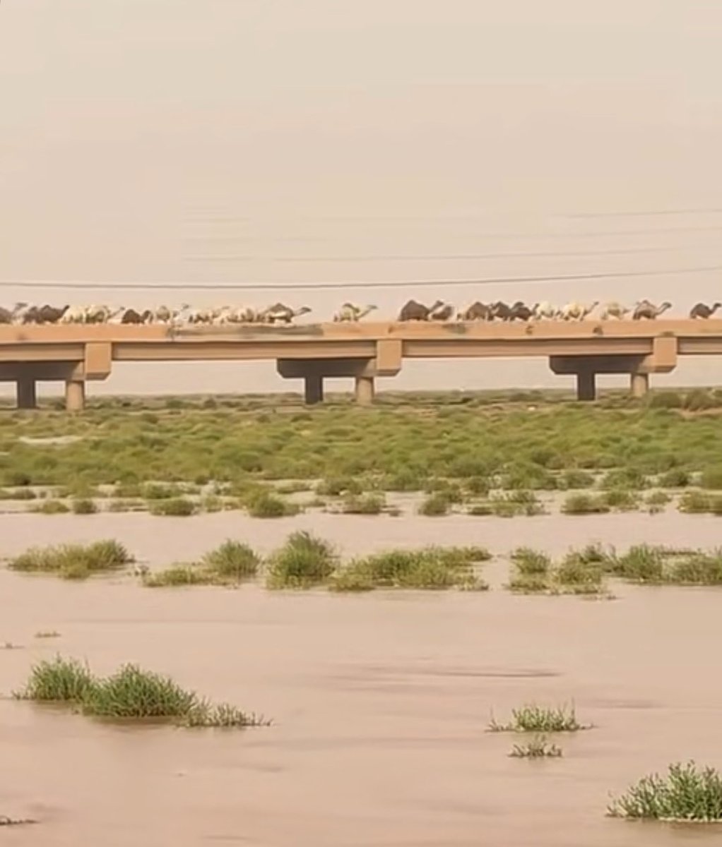 سبحان الله وبحمده سبحان الله العضيم 
.