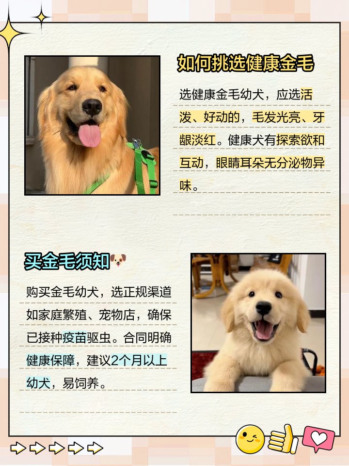 Fang-Lin Fanny He tweet media