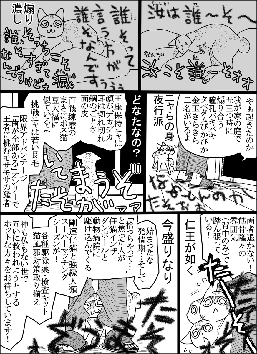 猫男あをによし