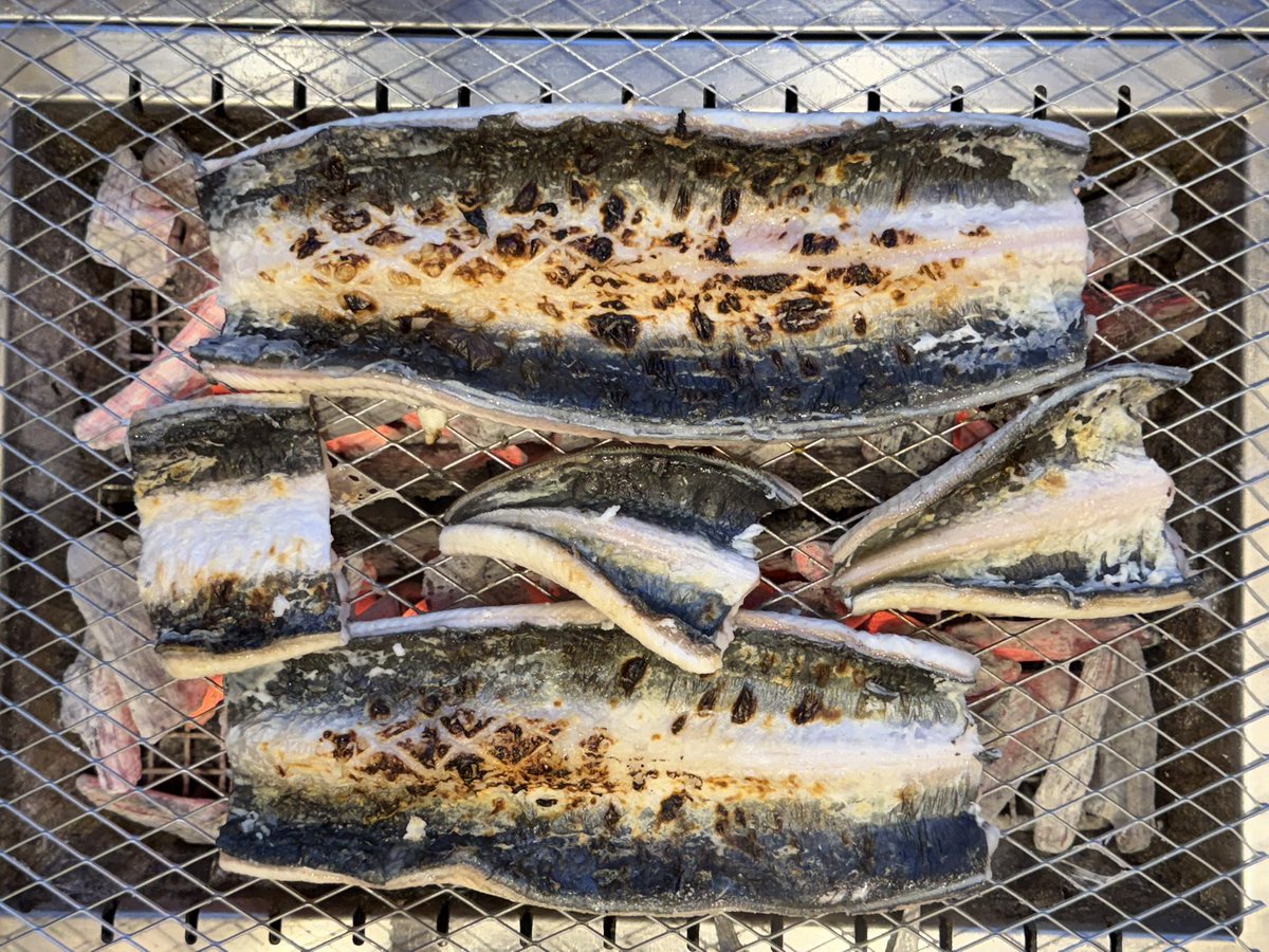 핀돌 tweet media