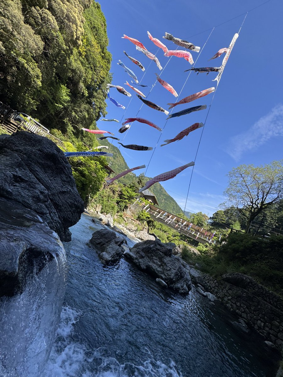 AKAYASこと覇者我ははしゃいでました tweet media