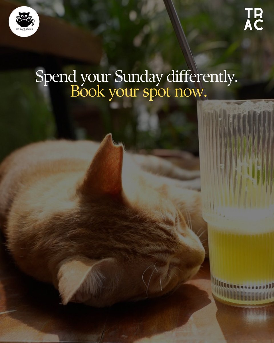 TRACommunity's tweet photo. #cafesofmumbai #bookclub #booklover #mumbaibookclub #thingstodoinmumbai #cafesofmumbai https://t.co/ncxoRHPO2z
