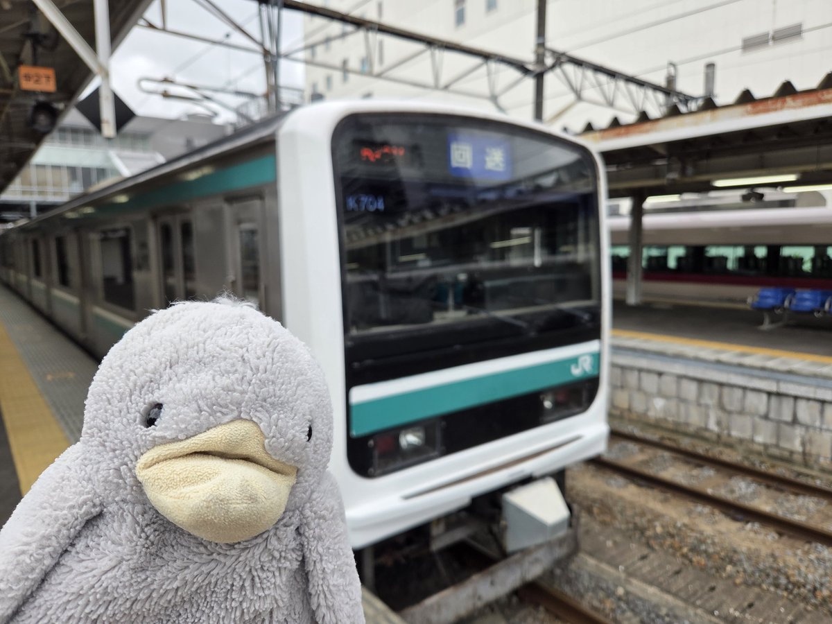Koudai1231☃️⚒️ tweet media