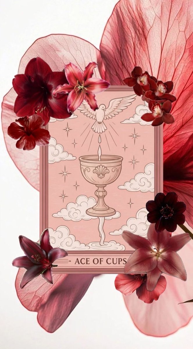 Tarot Dori | Tarot & Kahve Falı | Randevular Açık tweet media