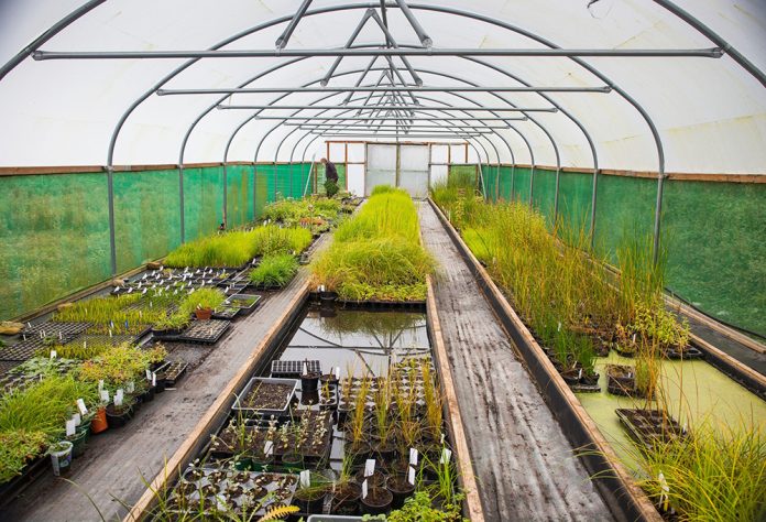 GreenBizJournal's tweet image. A renewed @TarmacLtd and @NosterfieldLNR partnership has committed to the long-term restoration of Nosterfield Quarry, aiming to enhance biodiversity and create valuable habitats.

🌿 Learn more: greenbusinessjournal.co.uk/renewed-partne…

#Biodiversity #NatureRecovery