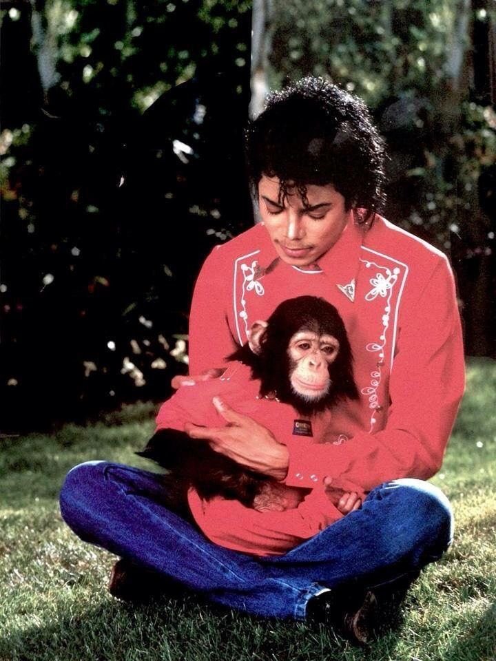 chewmocca's tweet photo. When I was 10, I imagined I would be Michael Jackson's wife in another life. In my mind, he was so handsome, kind-hearted, soft spoken. Some of my friends mocked me cause I said MJ was more handsome than Lee Min Ho at the time. Well, I love Korean stuff too, but just look at him! https://t.co/pR0hPP5pMA
