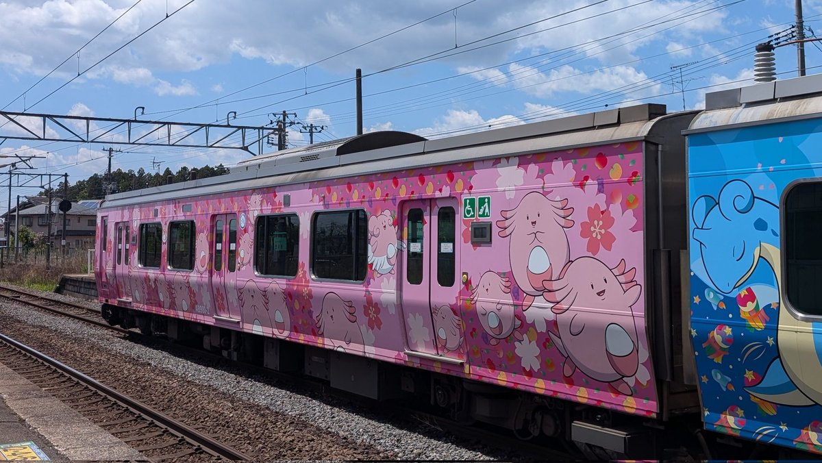 wa61na's tweet photo. 今日初めて阿武隈急行線乗ったら、ラプラスとラッキーの電車だった。めっちゃ可愛い。 https://t.co/0yPbTnWUQ0