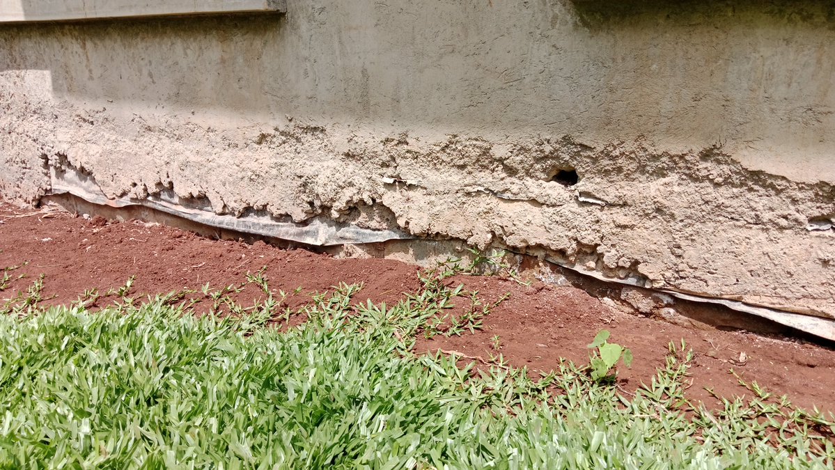 MainaKaibere's tweet image. Make sure your soil backfill for the landscape is at least 6" below the Damp Proof Membrane (DPM).Else you'll have moisture seeping into your wall causing mould &amp;amp; peeling paint on your walls.Hire professional landscapers to avoid creating expensive problems on site. #Landscaping